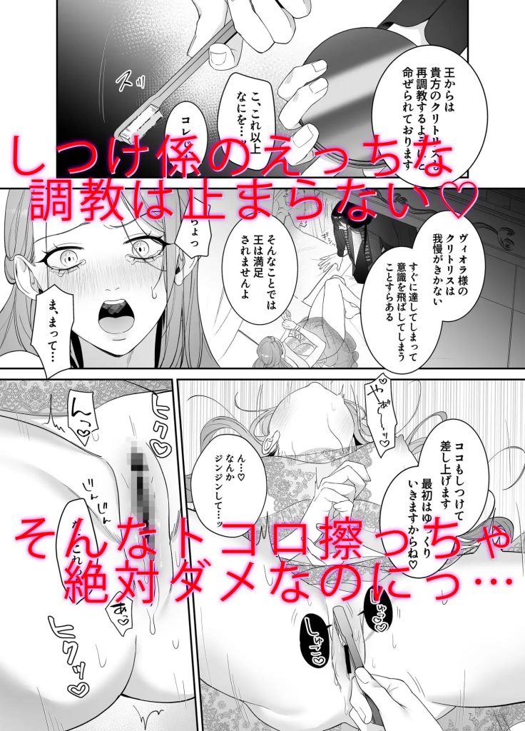 ドS躾け係と悪役令嬢Lesson2 ～再調教編～
3P