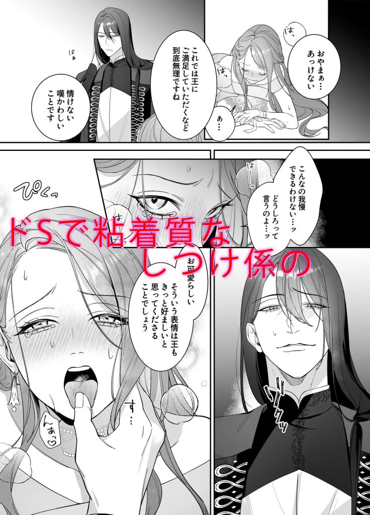 ドS躾け係と悪役令嬢Lesson2 ～再調教編～ 4P
