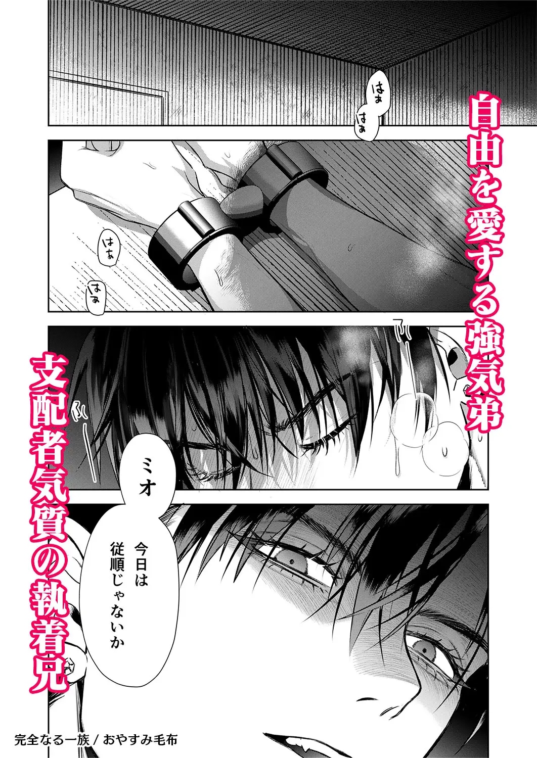 完全なる一族_画像1