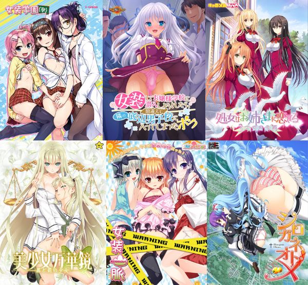 まとめ|女装男子・男の娘好き向けのエロゲーおすすめ21選