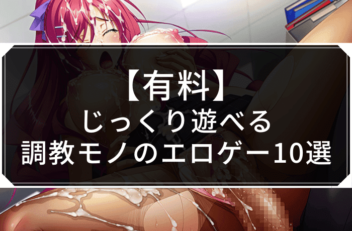 【有料】じっくり遊べる調教モノのエロゲー10選