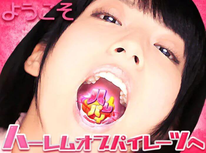ハーレムオブパイレーツ